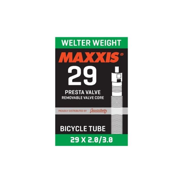 Maxxis Welter Weight 29x1.75/2.40